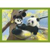 Animals Baby Cuddles 4-in-1 Puzzle Clementoni