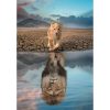 Animals Self Reflection Lion 300-piece puzzle Clementoni