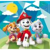 Paw Patrol Beach 48-piece puzzle set [pack of 3] by Clementoni