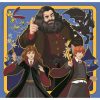 Harry Potter Chronicles 3x48 piece puzzle Clementoni