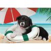 Dog Sunny Beach 104-piece Clementoni puzzle