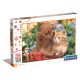 Animals Cute Friends 104-piece maxi puzzle Clementoni