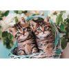 Cat Lovely Twins 60-piece Clementoni puzzle