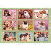 Animals Puppies Collage 180 piece Clementoni puzzle