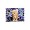 Animals Ginger 500-piece Cat Puzzle Clementoni