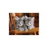 Animals Grey 500-piece Cat Puzzle Clementoni