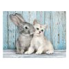 Animals Cat & Bunny 500 pcs puzzle Clementoni