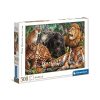 Animals Wild Cats Clementoni 500 piece puzzle