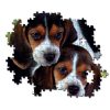 Animals Beagles Close Together Dog 500-piece Puzzle Clementoni