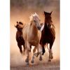 Horses Running 1000-piece Clementoni puzzle