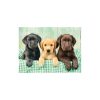 Animals Labrador Dog 1000-piece puzzle Clementoni