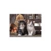 Animals Lovely 1000-piece Cat Puzzle Clementoni