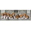 Dog Beagles 1000-piece panoramic puzzle Clementoni