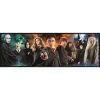 Harry Potter Foe 1000 piece panoramic puzzle Clementoni