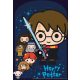 Harry Potter Graphic gift bag, pack of 8