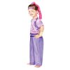 Shimmer and Shine Purple costume 3-4 years