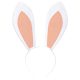 Rabbit White costume accessory