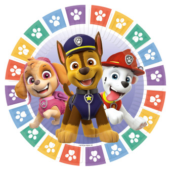 Paw Patrol Color Paws paper plate 8 pcs 18 cm