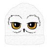 Harry Potter Hedvig kids hat 54-56 cm