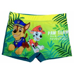 Paw Patrol Skye & Everest Tovaglioli in carta 33 x 33cm - conf. 20pz -  OFBA srl