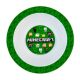 Minecraft Green plastic deep plate