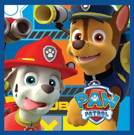 Paw Patrol Magic Hand Towel Face Towel, Towel 30x30cm