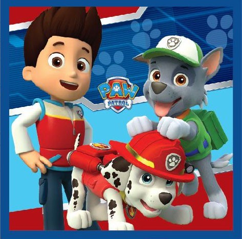 Paw Patrol Magic Hand Towel facial towel, towel 30x30cm