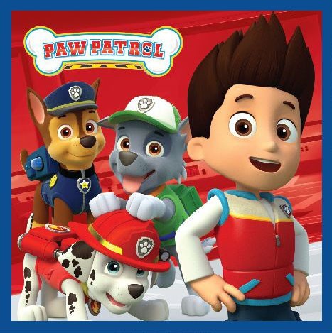 Paw Patrol Magic Hand Towel Face Towel, Towel 30x30cm