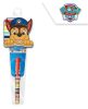 Paw Patrol mini notebook + pen set