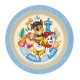 Paw Patrol Future Leader plastic dinner plate