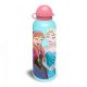 Disney Frozen Enchanted aluminum bottle 500 ml