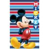 Disney Mickey  towel set