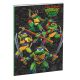 Teenage Mutant Ninja Turtles Power B/5 lined notebook with 40 sheets