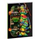 Teenage Mutant Ninja Turtles Skateboard B/5 lined notebook 40 sheets