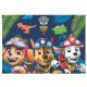 Paw Patrol Dino Rescue A/4 Document Holder