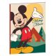 Disney Mickey  Nature B/5 lined notebook 40 sheets