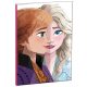 Disney Frozen Together B/5 lined notebook 40 sheets