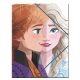 Disney Frozen Together A/4 elastic folder