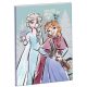 Disney Frozen Adventure B/5 lined notebook 40 pages