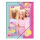 Barbie Happy Thoughts A/4 elastic folder