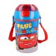 Disney Cars water bottle, sports bottle 450 ml