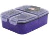 Wednesday Nevermore Academy compartmentalized lunch box, sandwich box