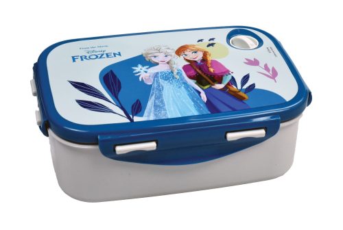 Disney Frozen Together sandwich box