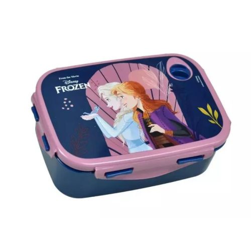 Disney Frozen Sisters sandwich box