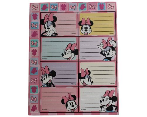 Disney Minnie  Joy notebook label with stickers, 16 pcs