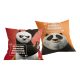 Kung Fu Panda Warrior pillow, decorative pillow 40x40 cm