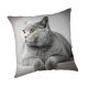 Cat Grey cushion cover 45x45 cm