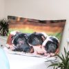 Animals Guinea Pig Bedding Set 140×200cm, 70×90 cm