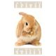 Rabbit Brown s bath towel, beach towel 70x140cm