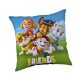 Paw Patrol Friends decorative pillow 40x40 cm